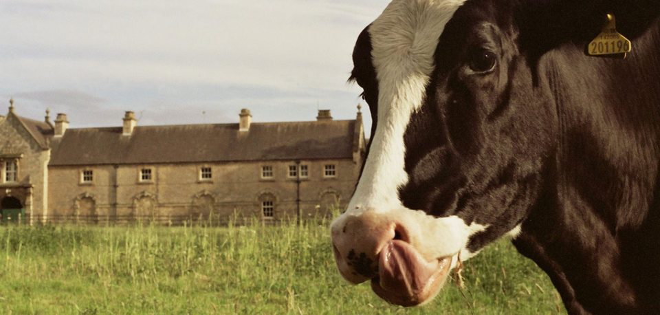 The Best Farm Shops Near Worksop And Bassetlaw – Your Local Guide